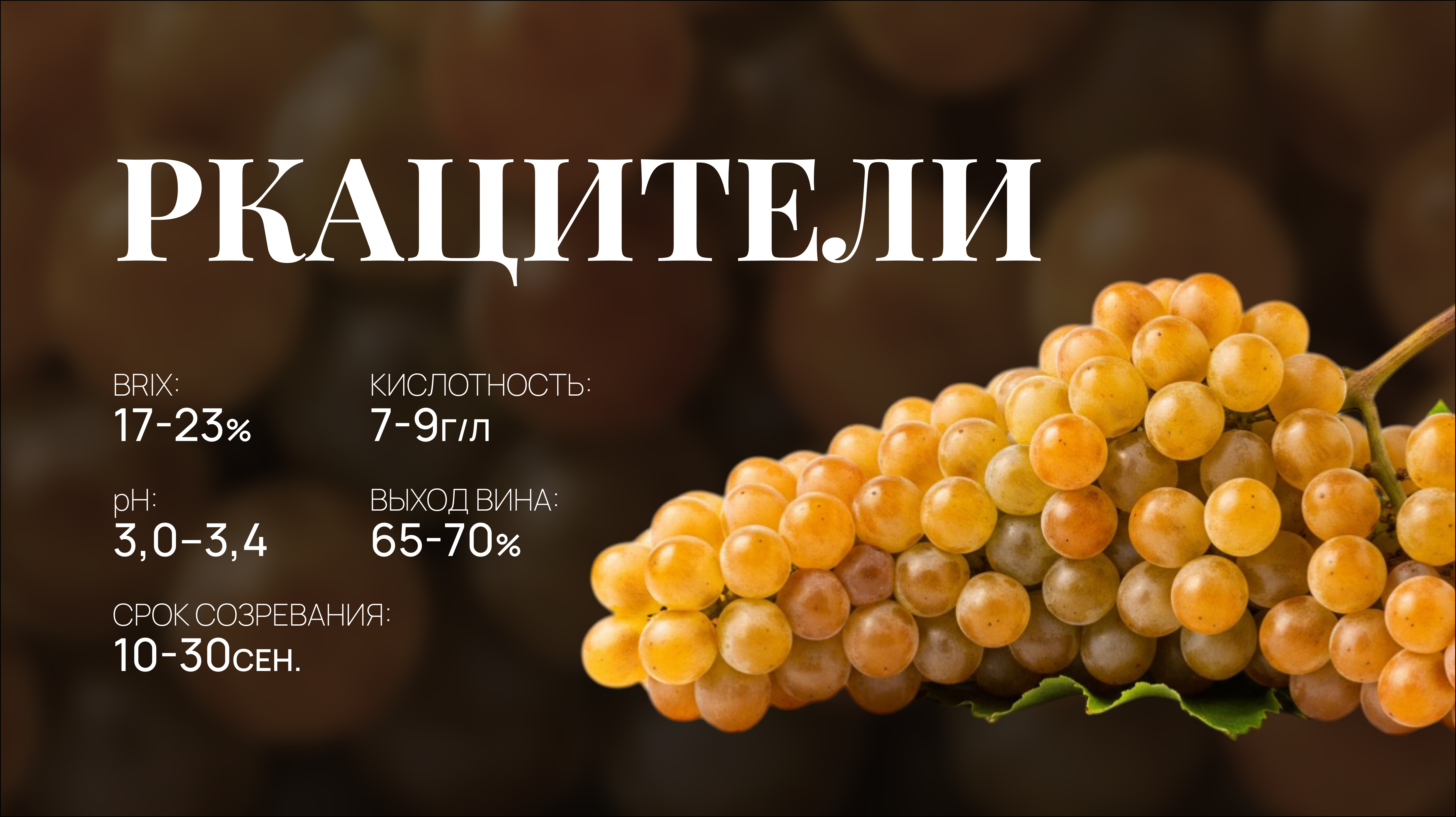 Ркацители